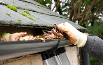 gutter cleaning Canon Frome, Herefordshire