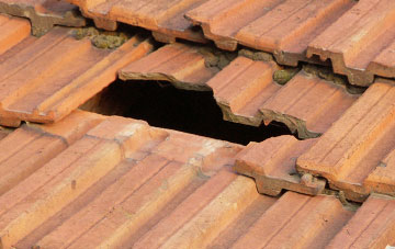 roof repair Canon Frome, Herefordshire